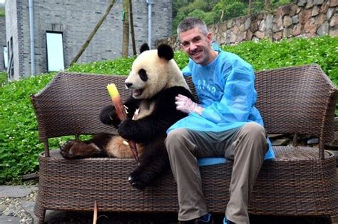 How To Get A Panda Hug In China Panda Hug Panda Panda China