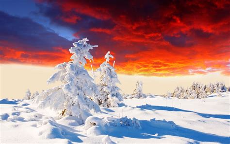 Beautiful Winter Sunset Landscape All Best Desktop