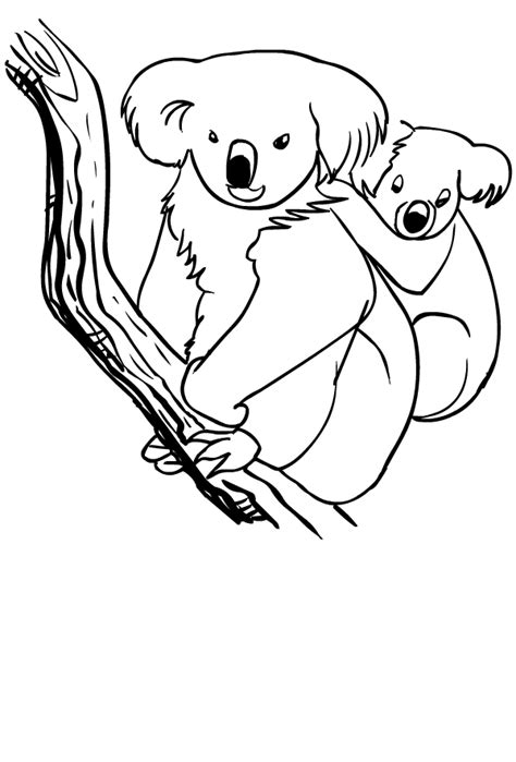 Drawing Of Koala Coloring Page