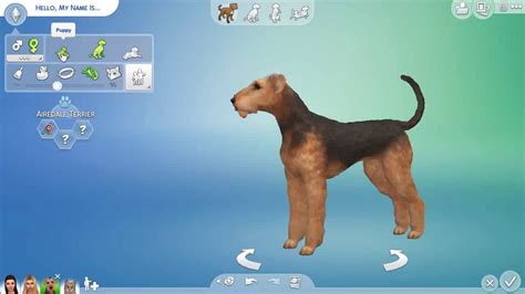 My Favourite Dog Breeds The Sims 4 Youtube