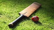 10 Best Cricket Bats That You Need To Check Out - Playo
