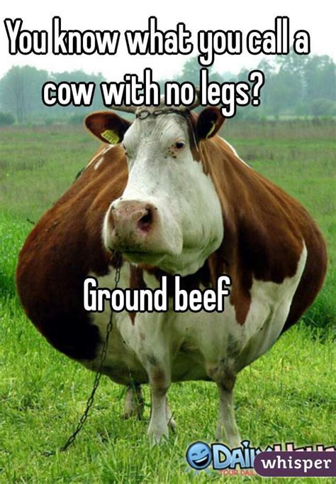 What do you call a cow with no legs ground beef. You know what you call a cow with no legs? Ground beef