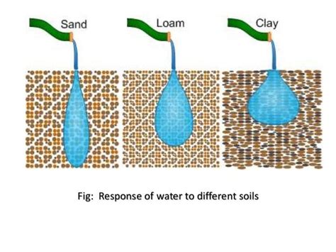 Soil Water Saturated And Unsaturated Flow