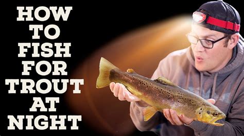 How To Fish For Trout At Night Youtube