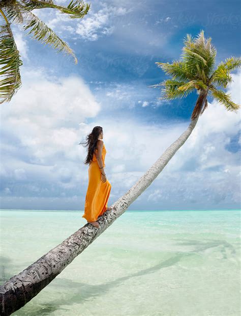 Woman Standing On Trunk Of Palm Tree In Tropical Setting By Stocksy
