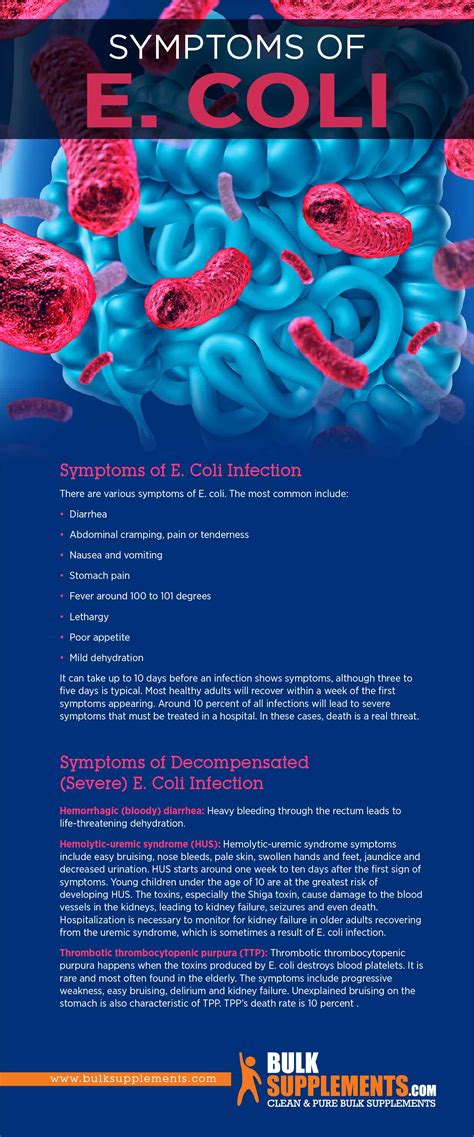 E Coli Infection Symptoms Causes And Treatment