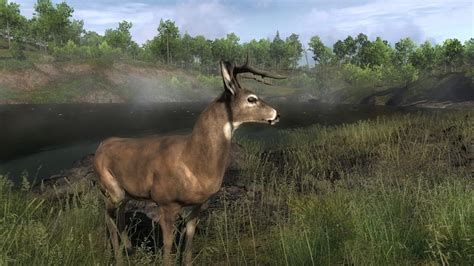 Thehunter Call Of The Wild Should Get An Xbox One X