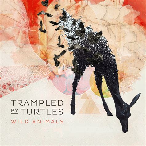 Trampled By Turtles Share First Single Off New Album
