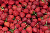 Boise's J.R. Simplot Creating Genetically Modified Strawberries