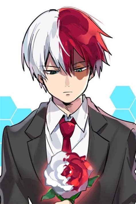 Todoroki Shouto Which Character Do You Like Most From My Hero Academia