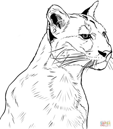 For more information and source, see on this link : Face of Puma coloring page | Free Printable Coloring Pages