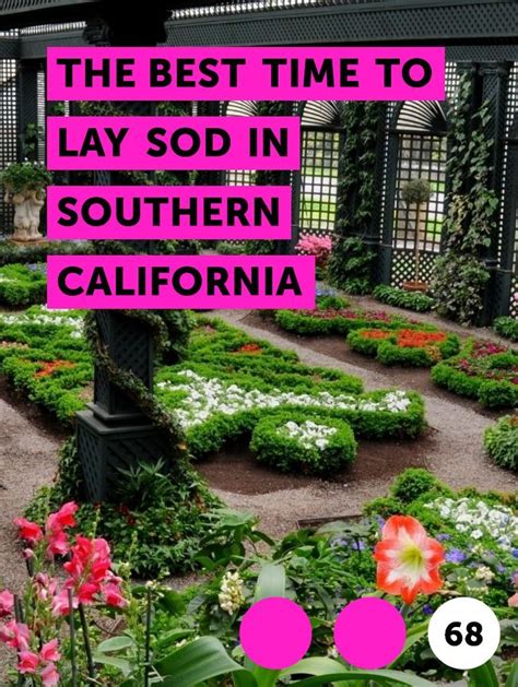 Read this post by busby's landscape to determine when the best time to lay sod on your lawn. The Best Time to Lay Sod in Southern California | Riding ...