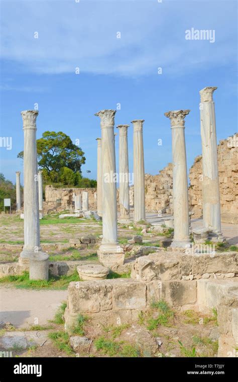 Spectacular Well Preserved Ruins Of Ancient Greek City State Salamis