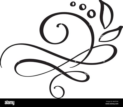 Hand Drawn Border Flourish Separator Calligraphy Designer Elements