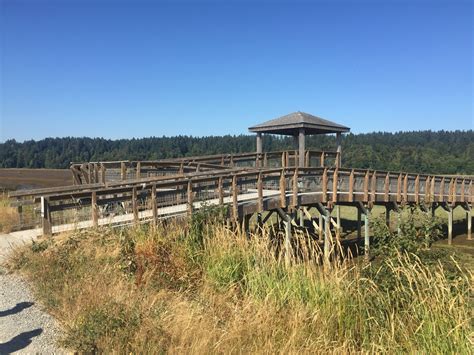 Best Trails In Nisqually National Wildlife Refuge
