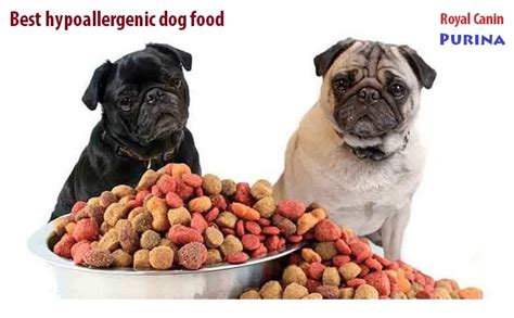 Best Hypoallergenic Dog Food Brands With Ingredients Review