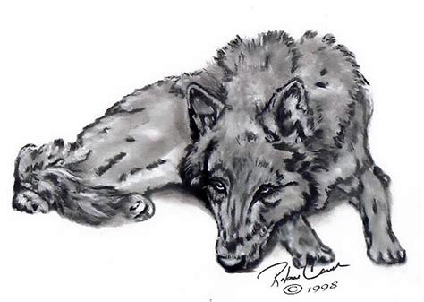 Sketches Of Wolves In Love