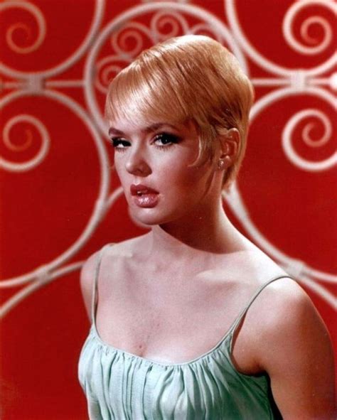Joey Heatherton American Sex Symbol Of The 1960s And 1970s ~ Vintage