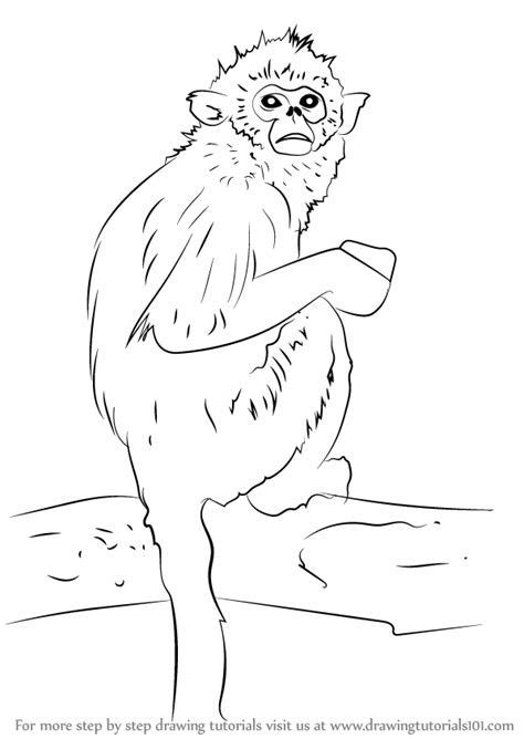 Coloring Pages Snow Monkeys