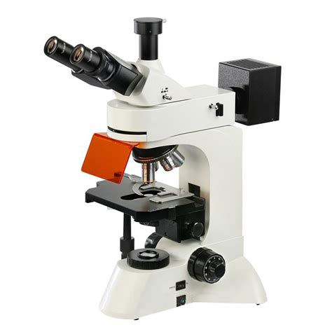 Microscopio Fluorescente My Xxx Hot Girl