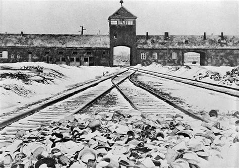 Mengele Nie Mógł W To Uwierzyć Najlepsza Akuszerka W Auschwitz Wp