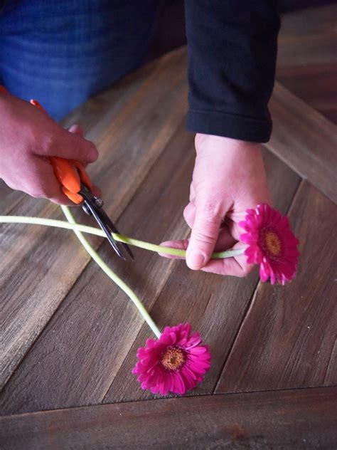 5 Tips For Keeping Your Flowers Alive Even Longer Hgtvs Decorating