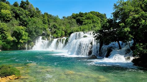 Bosque Templado Qué Es Características Clima Ejemplos Flora Fauna