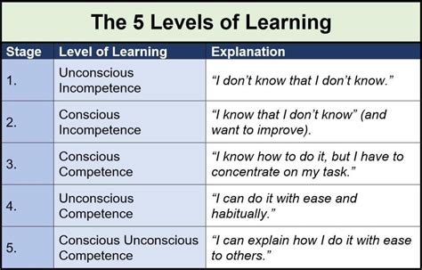 5 Stages Of Learning Levels Of Learning Ladder 2024