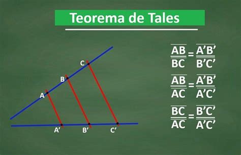 Teorema De Tales Toda Matéria