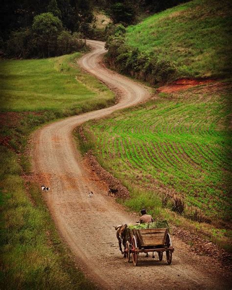 Paolo a magro, paul a magro. Country road (Brazil) by Paulo Rogério Magro (@paulormagro ...