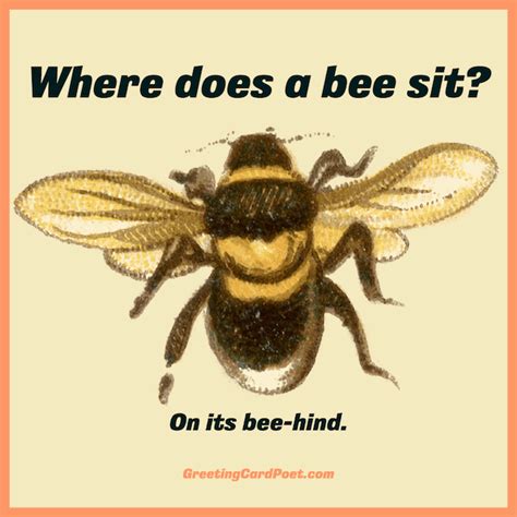 30 Beehive Memes That Are So Funny Images