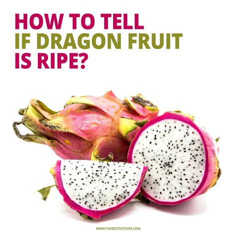 How Do You Know If Dragon Fruit Is Ripe 3 Ways To Tell