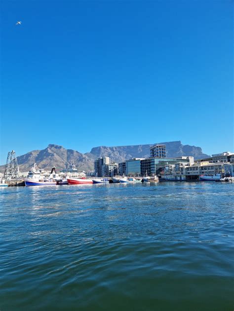 City Sightseeing Cape Town كيب تاون Working Hours Activities