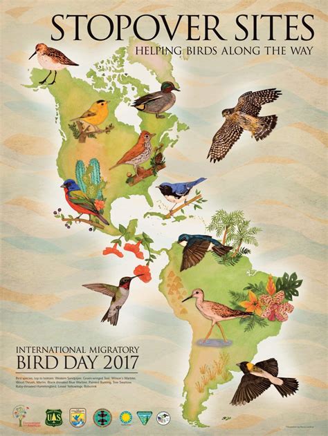 Efta Eng Bird Migration Poster 18x24 2017 R10 Migratory Birds Bird