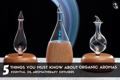 5 things you must know about organic aromas essential oil aromatherapy