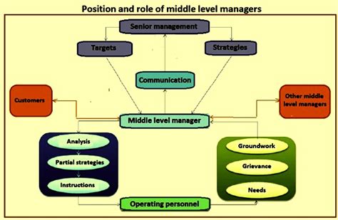 Middle Level Managers And Their Role In Organizational Performance