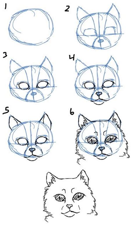 Think about how we use our eyes as human beings, we are able to see, interact and prepare for our journey in life. 34 best images about DRAW CAT EYEY on Pinterest | Dragon eye, Cats and How to draw