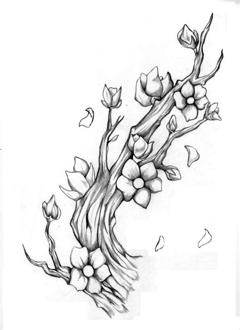 Japanese Blossom Drawing At Getdrawings Free Download
