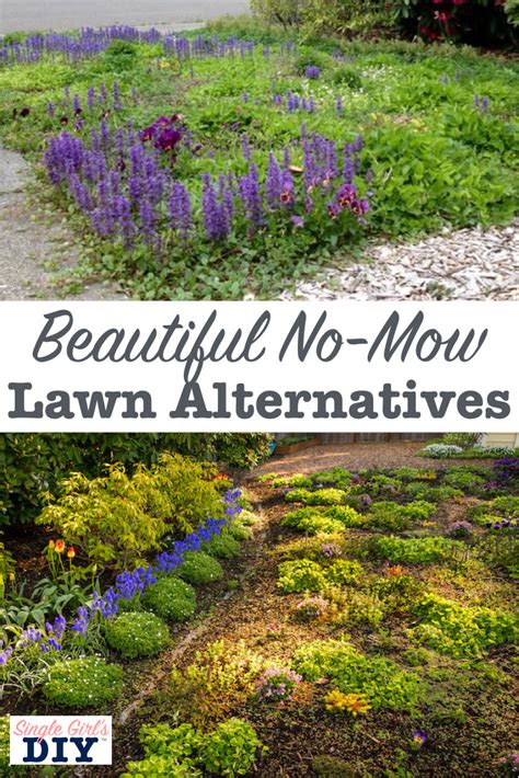 Tired Of Spending Beautiful Summer Days Mowing Your Lawn Want A More