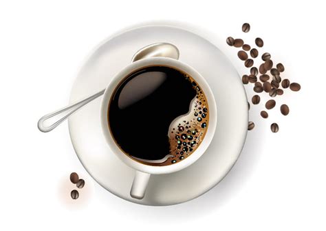 Free Vectors Realistic Cup Of Coffee With Beans All Vectors