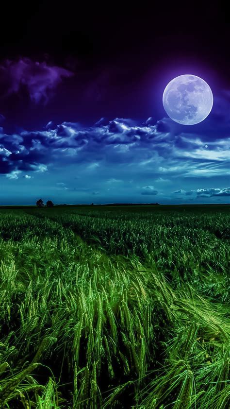 Night Grass Field Background 1080x1920 Download Hd Wallpaper