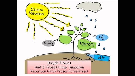 Fotosintesis Process