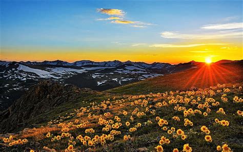 Sunrise Flowers Dawn Meadow Mountains Hd Wallpaper Peakpx