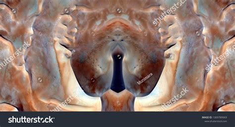 Sex Pussy Vulva Clitoris Vagina Orgasm Stock Photo Shutterstock