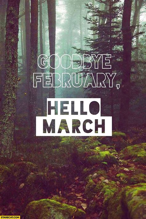 Goodbye February Hello March Images Quotes Pics Calendarbuzz