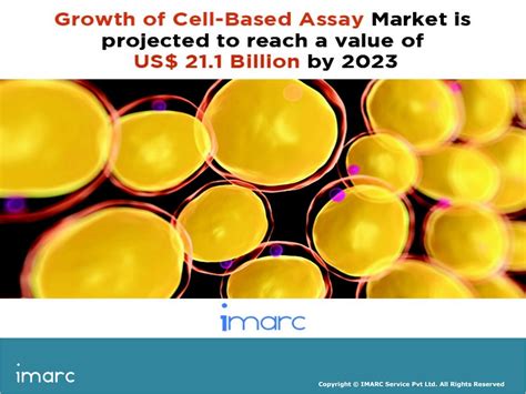 Cell Based Assay Market Global Industry Trends Share Growth Size