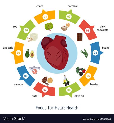 Healthy Heart Foods Infographics Heart Royalty Free Vector