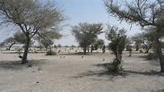Arbres au Sahel : Un désert pas si aride qu’on le croyait – La Nouvelle ...