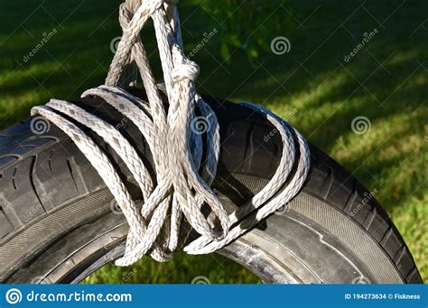 Tire Swing With Knots And Rope Hanging From A Treewith Stock Photo