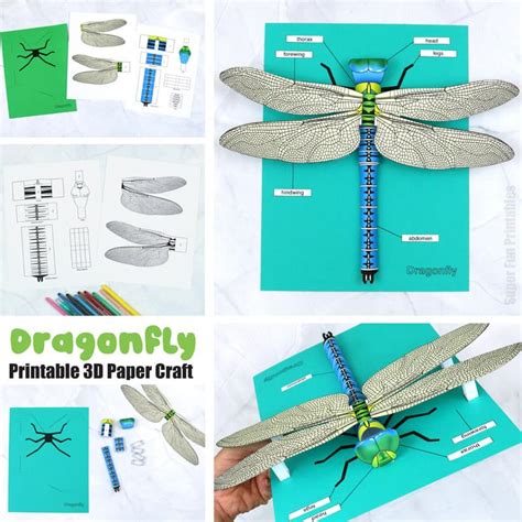 3d Paper Dragonfly The Craft Train